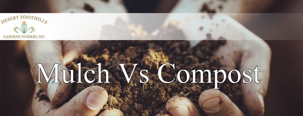 Mulch Vs Compost Desert Foothills Gardens Nursery