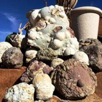 Hikers TrailLarge Mountain Boulders Rocks Cake & Desert Decoration Edible  Rocks 8oz