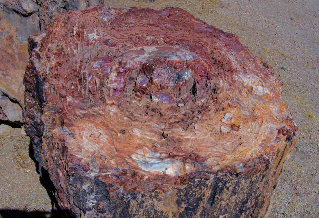 decorative-rocks-02