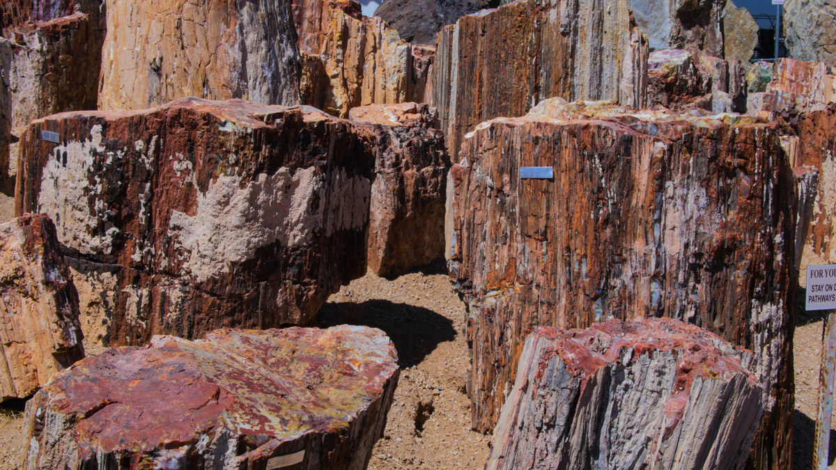 decorative-rocks-23