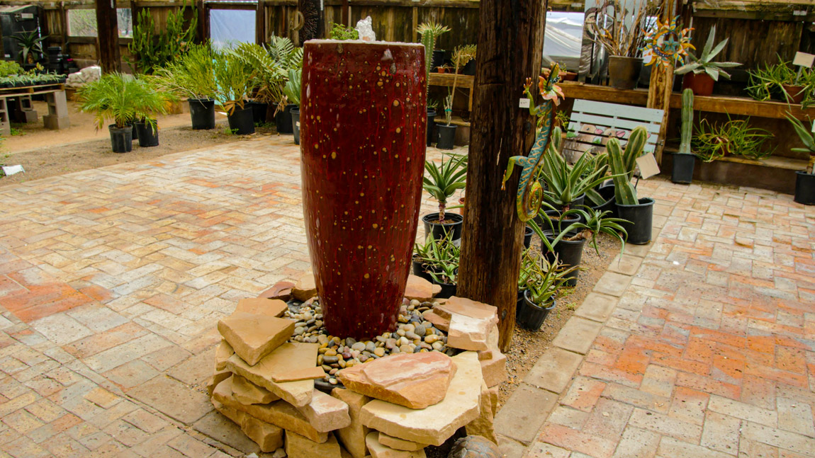 Cactus Nursery Phoenix & Cave Creek Desert Foothills Gardens