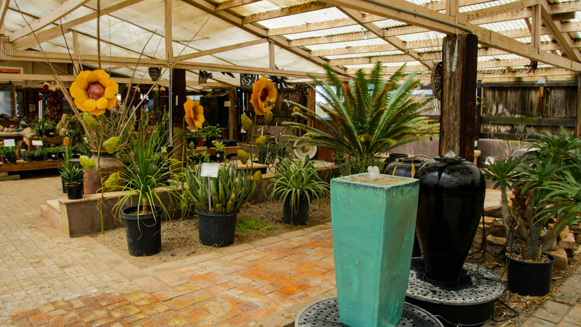 Cactus Nursery Phoenix & Cave Creek Desert Foothills Gardens