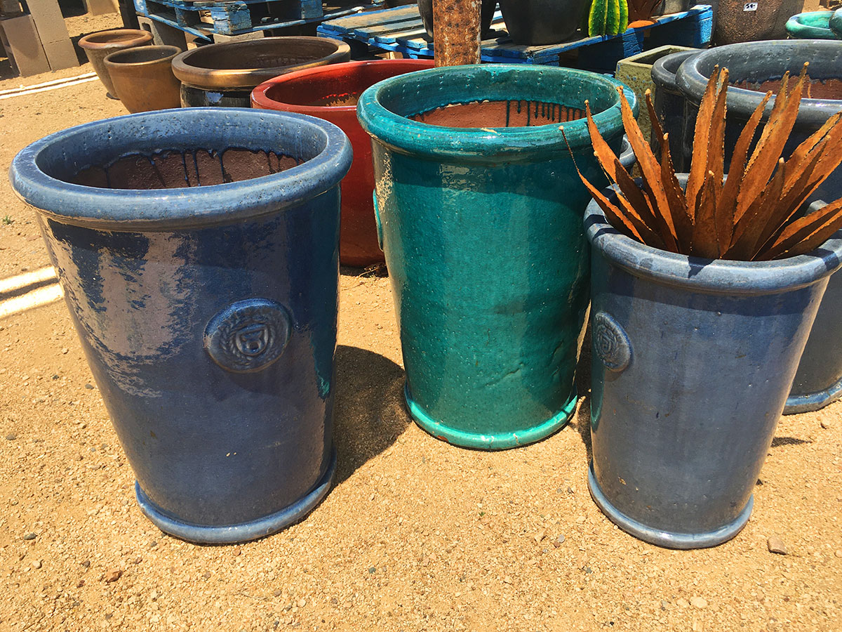 New Arrivals Cave Creek - Desert Foothills Gardens Nursery, Inc.