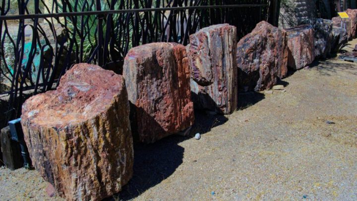 landscape-boulders-cost-desert-foothills-gardens-nursery-inc