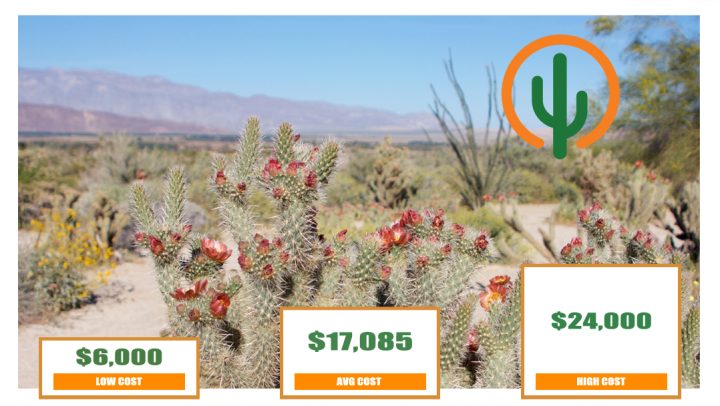 How Much Does Xeriscaping Cost? - Desert Foothills Gardens