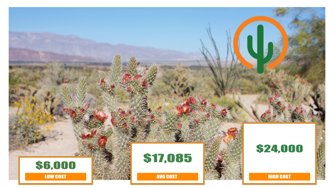 how-much-does-xeriscaping-cost-desert-foothills-gardens