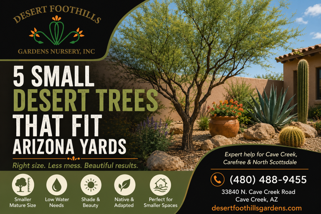 Five Small Desert Trees for Arizona Yards